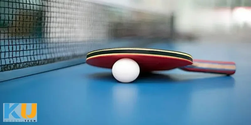 Tổng quan về cá cược bóng bàn
